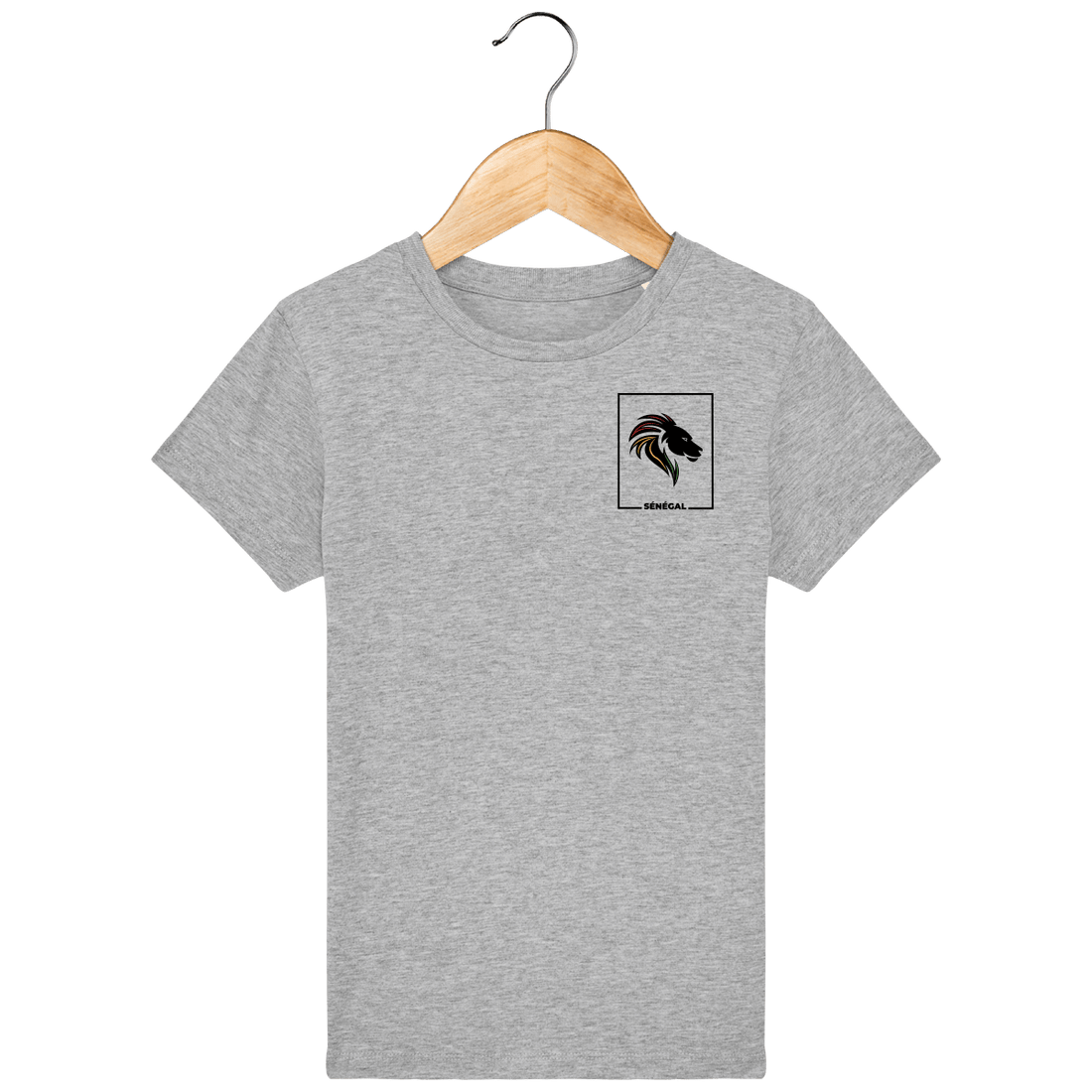 Enfant & Bébé>Tee-shirts - T-Shirt Enfant Fanion Lions De La Teranga 2022